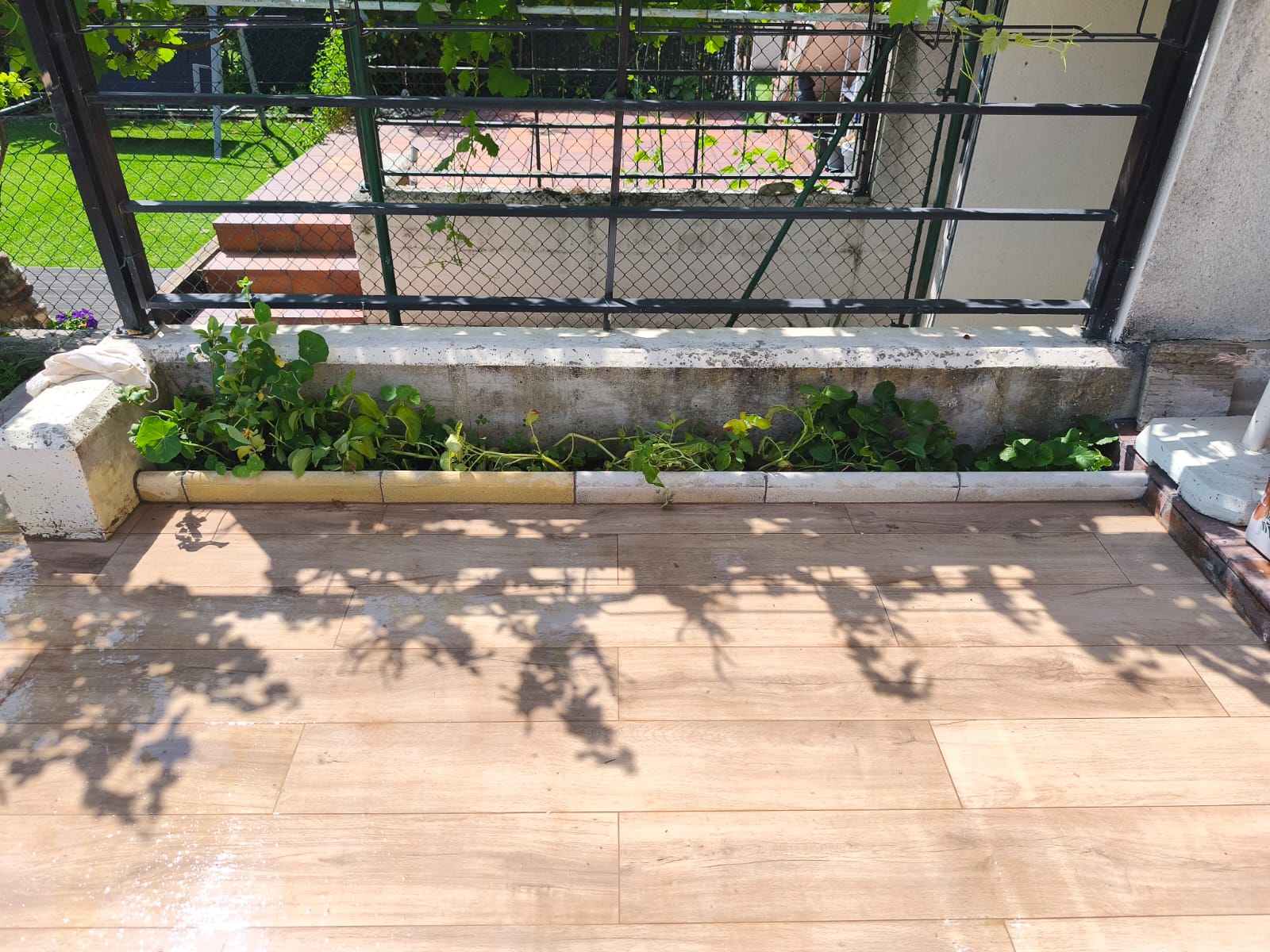 Instalación de Revestimiento Cerámico Imitación Madera - Imagen 1