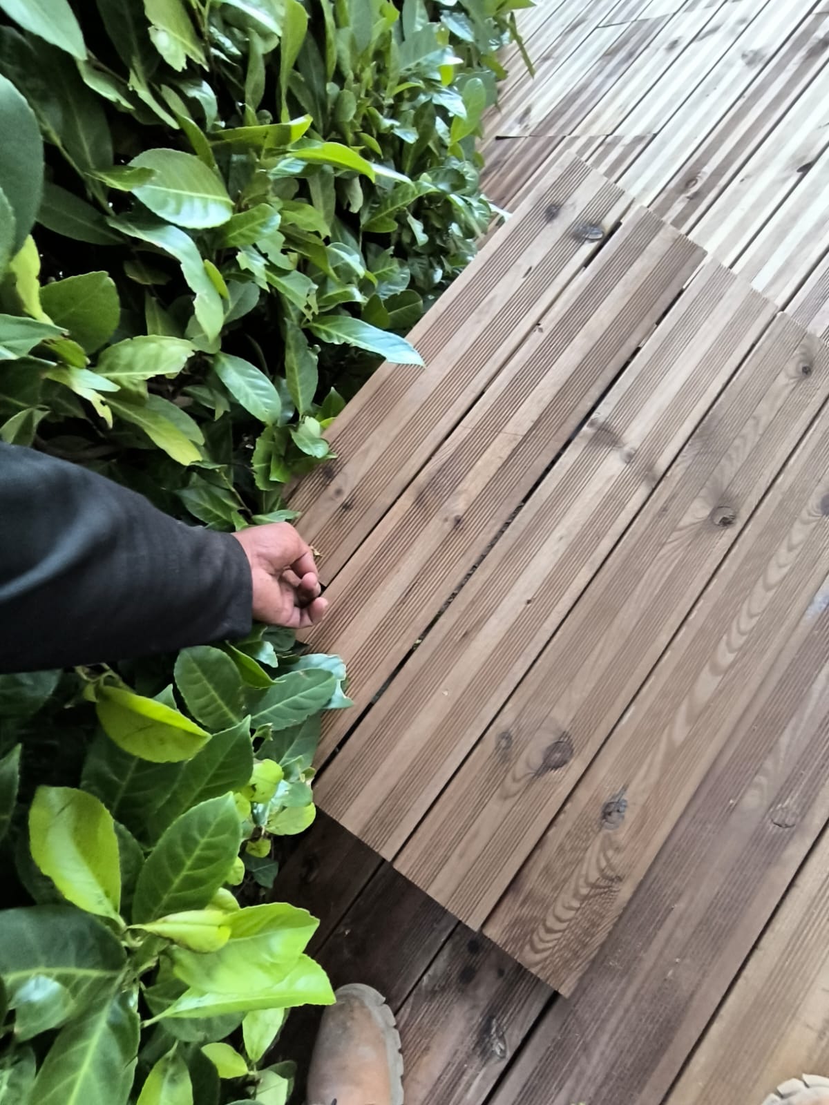 Sustitución de Suelo Rastrelado de Madera - Imagen 2