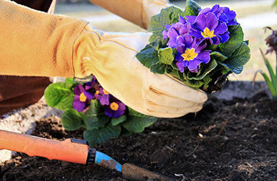 Otros trabajos de jardinería